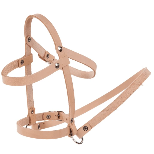 Helga Kreft Halfter Für Schaukelpferd Jolly Popcorn 3 Helga Kreft Halfter Für Schaukelpferd Jolly Popcorn