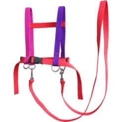 Helga Kreft Zügelmatz Pferdespielleine, Rot Bunt